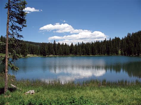 Maybe you would like to learn more about one of these? Hidden Colorado Gem: Grand Mesa Lakes | Colorado.com