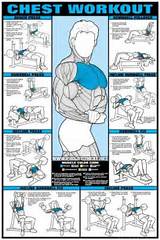 Dumbbell Chest Exercises Photos