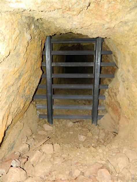 Catalina Island Conservancy to begin bat research – Daily Breeze