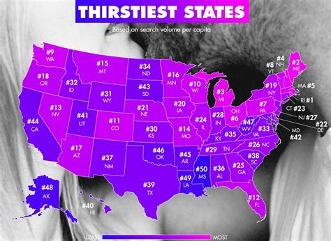 Elecciones En Estados Unidos El Mapa Interactivo Con Los Resultados De Hot Sex Picture