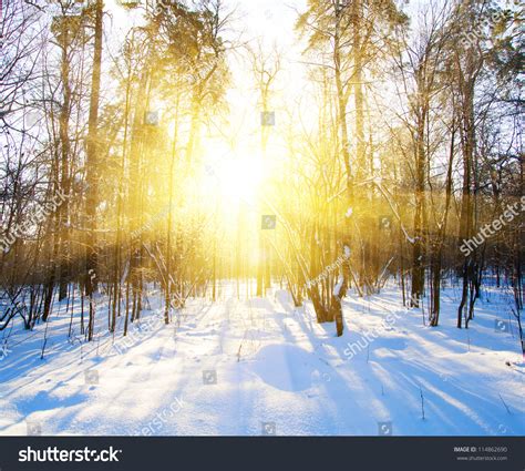 Beautiful Winter Landscape Sunset Sunrise Trees Stock