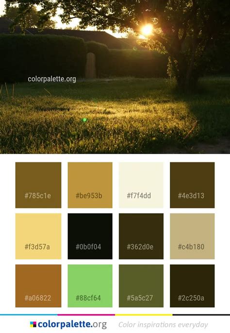 Nature Grass Field Color Palette