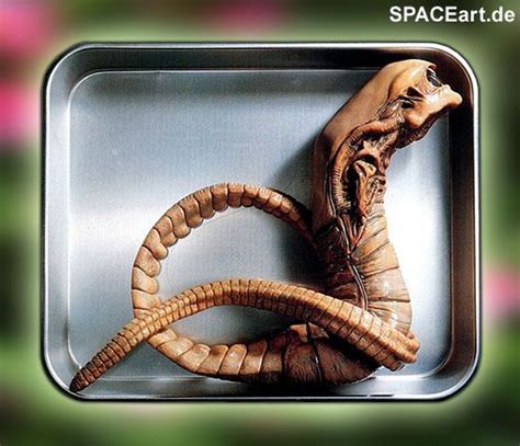 Cute Baby Xenomorph Aka Chestburster Fremde Kreaturen Außerirdisches