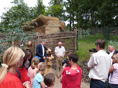 Zoo Brno Expozice Klokanů Slavnostně Otevřena Archdesign