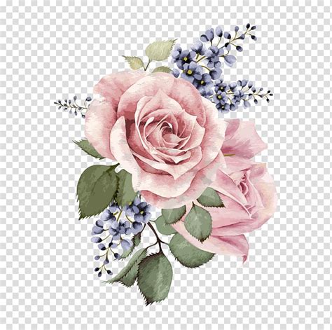 Almost files can be used for commercial. Centifolia roses Garden roses Floral design Pink Cut ...