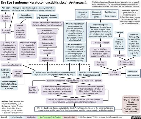 Dry Eye Syndrome Pathogenesis Calgary Guide