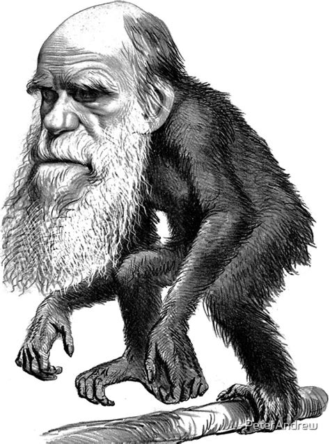Darwin As A Monkey By Peterandrew Redbubble