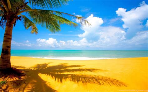 Palm Tree Beach Wallpapers Wallpapers Cave Desktop Background