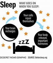 Image result for importance of sleeep