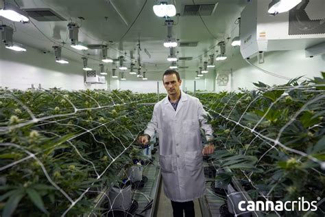 Root Sciences Featured at Planet 13 in Las Vegas - Root Sciences