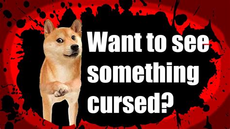 See more ideas about funny memes, memes, cursed images. Cursed Images of the K9 Kind... - YouTube