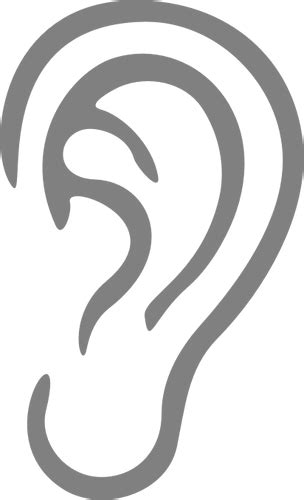 Gray Ear Illustration Public Domain Vectors