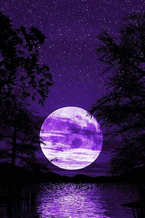 Stunning Dark Purple Aesthetic Purple Wallpaper Purple Aesthetic
