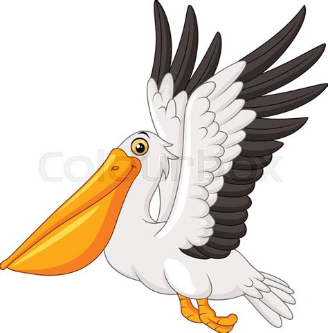 Cartoon Pelican Flying Isolated On Stock Vector Colourbox