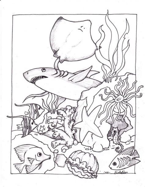 Ocean Coloring Pages For Adults Coloring Home
