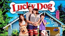 Lucky Dog - Trailer - YouTube