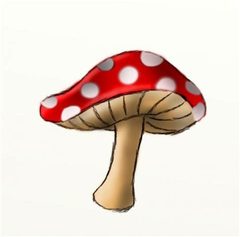 Cute Mushroom Drawing At Getdrawings Free Download