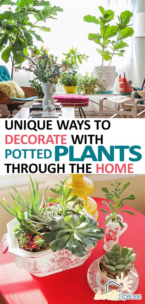 unique ways to decorate with potted plants throughout the home