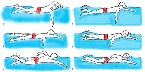 Powerful Tips To Master Freestyle Swimming Friendly Dolphin Swim School