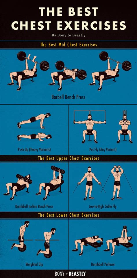 An Illustrated Chart Of The Best Chest Exercises Chest Workout Chest