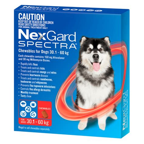 Nexgard Spectra 301 60kg 6 Pack Nicks Pet Needs