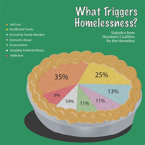 What Triggers Homelessness Pie Chart Homeless Heading Home Hot Sex