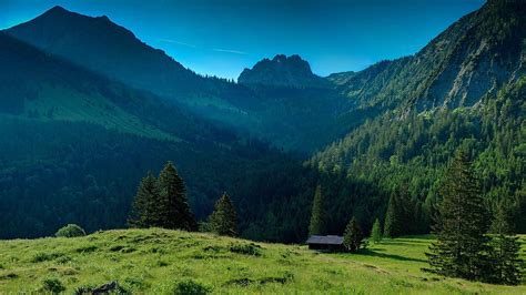 Green Grass Field Surrounded By Green Leaved Trees Near Mountains