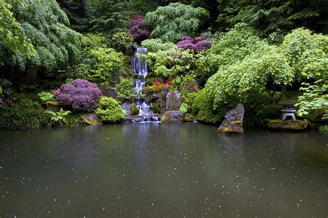 Hd Wallpaper Garden Gardens Japanese Nature Portland Usa
