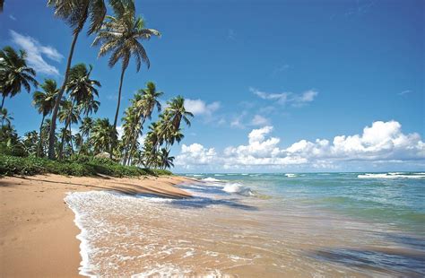 5 Playas Imperdibles Del Sur De Brasil Praia Do Forte Brazil Beaches