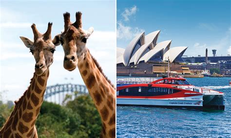 Taronga Zoo Entry And Harbour Ferry Pass Australia Activities In