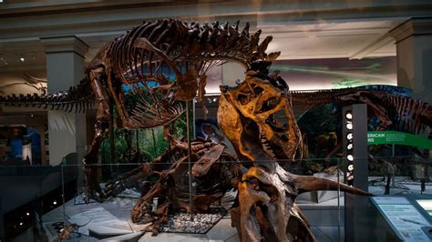 The Smithsonians New Dinosaur Hall Is A Marvel But Its Ties To David