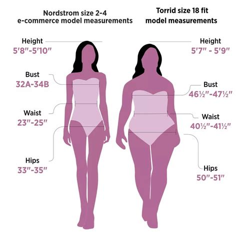 the average size of the american woman isn t what it used to be and here s why