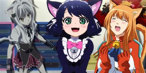 Top 68 Anime With Cat Girls Vn