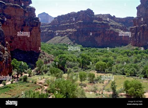 Aerial View Of Supai Village Havasu Canyon Stock Photo Alamy