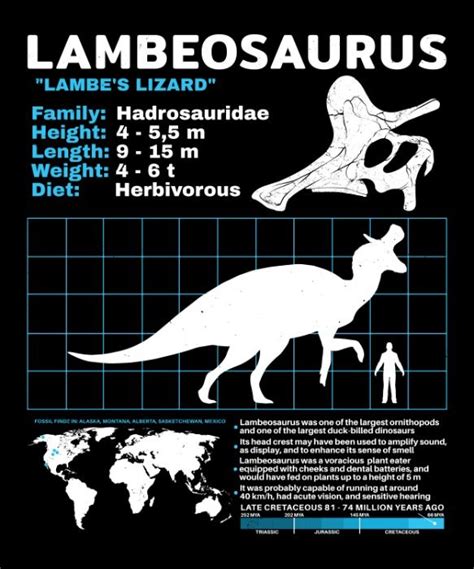 Dinosaur Fact Sheet Of Lambeosaurus With Key Facts A Reconstruced