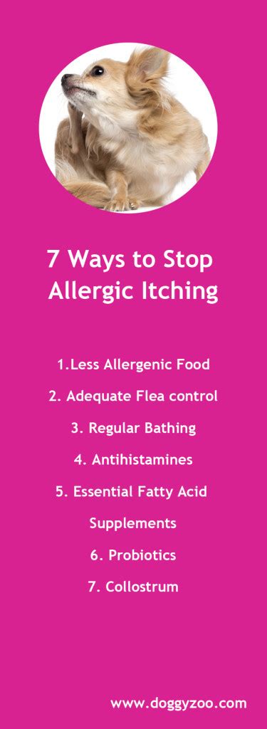 7 Ways To Stop Allergic Itching