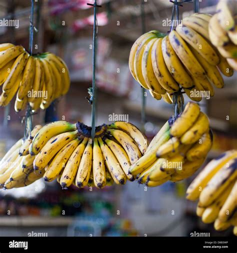 Banana Hanging In Asian Market Closeup Stock Photo Alamy