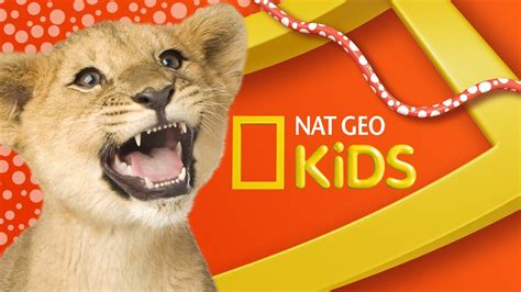 Welcome To The National Geographic Kids Channel Youtube