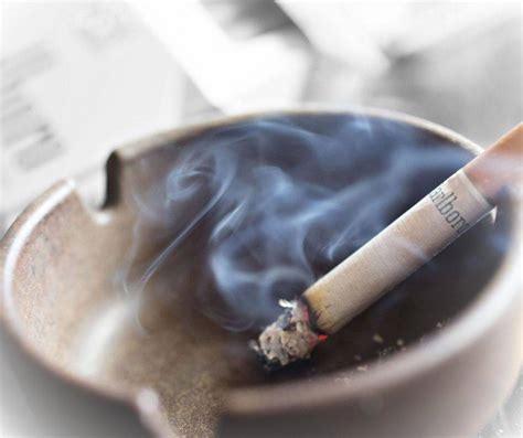 How Do Nicotine And Tobacco Causes Cancer