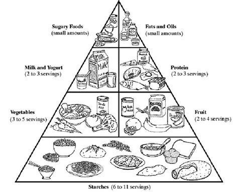 Piramida makanan pertama adalah penemuan swedia dan itu adalah ketika versi panduan makanan kami kembali kepada kami direvisi, kami terkejut menemukan bahwa itu sangat berbeda dari yang kami. pyramid - Kaieteur News