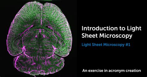 Light Sheet Microscopy Courses