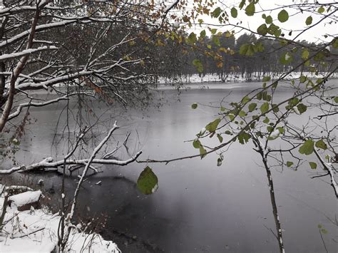 Wallpaper Landscape Lake Reflection Sky Snow Winter Branch Ice