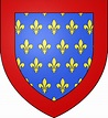 John Tristan, Count of Valois. | Coat of arms, Medieval banner ...