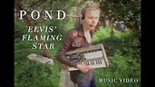 Pond - "Elvis' Flaming Star" (Official Music Video) - YouTube