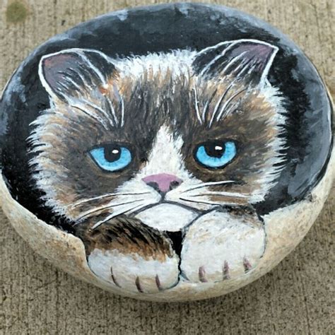 Grumpy Cat Rock Painting Paintedrocks