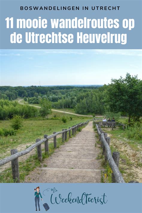 Zin Om Te Wandelen In De Natuur Ontdek De Utrechtse Heuvelrug Het Op Een Na Grootste