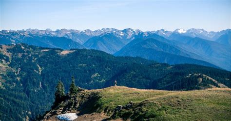 Glimpse Of The Majestic Mountains With Hurricane Ridge Webcam