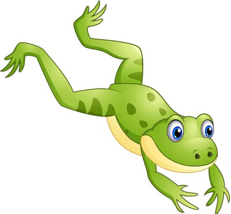 Cartoon Of The Green Frog Illustrations Royalty Free Vector Graphics