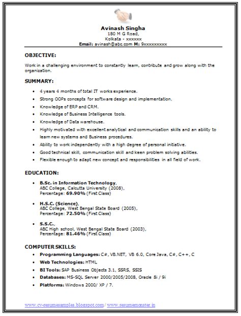 Over 10000 Cv And Resume Samples With Free Download Bsc It Resume Sample