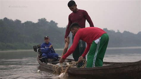 Sistema De Manejo Garante Pesca Legal E Sustentável Do Pirarucu No